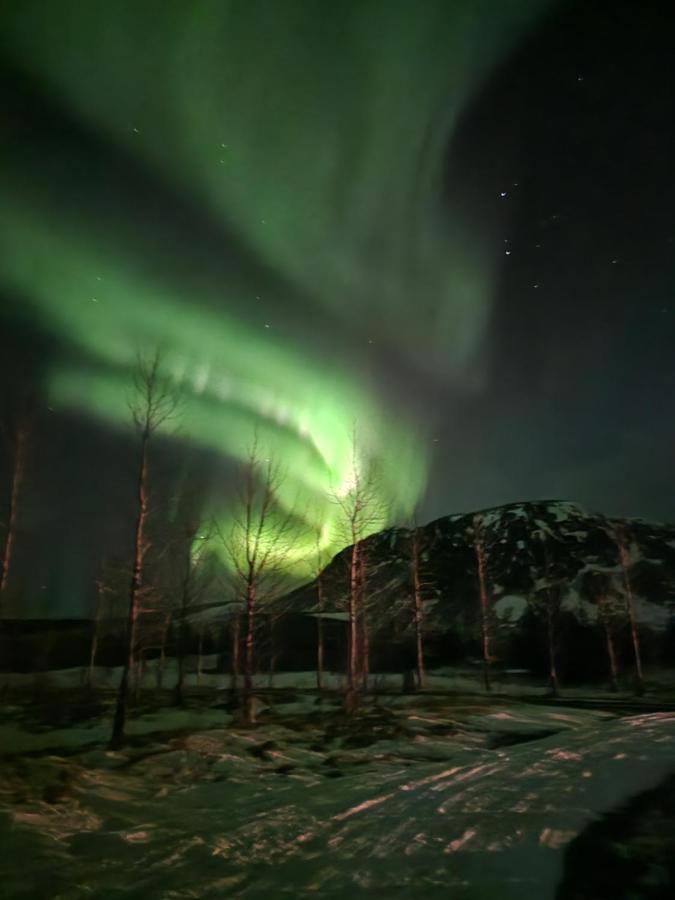 Вилла Golden Circle Cabin, Hot Tub Гейсир Экстерьер фото